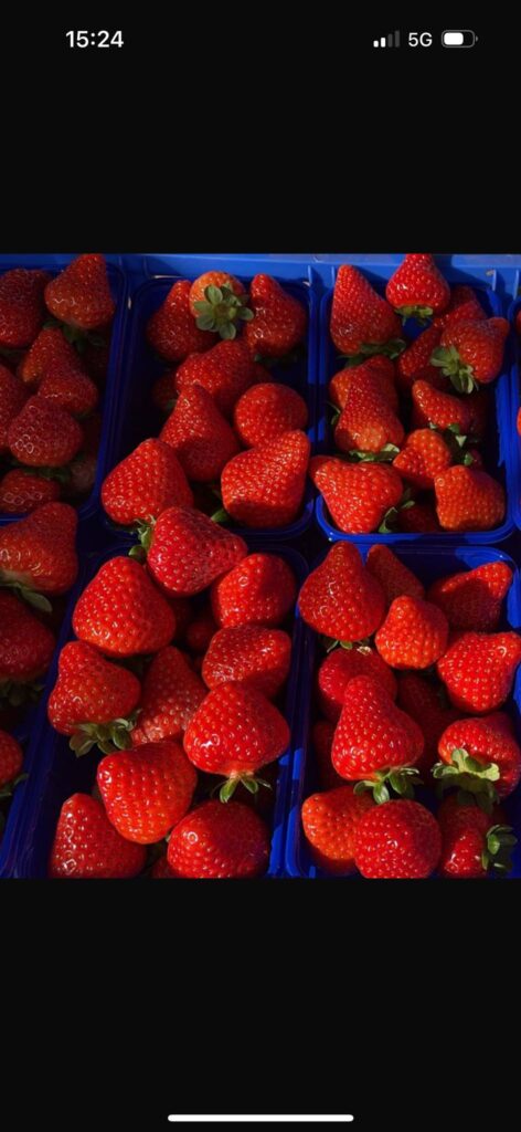 aardbeien van Van Uitert Aardbeien