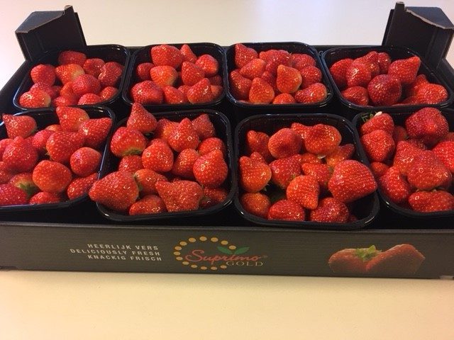 Kistje Suprimo aardbeien van Van Uitert Aardbeien
